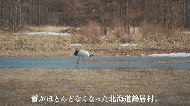 辞住乡下我一点都不羡慕！爱游戏最新讲真看到他们裸(图10)